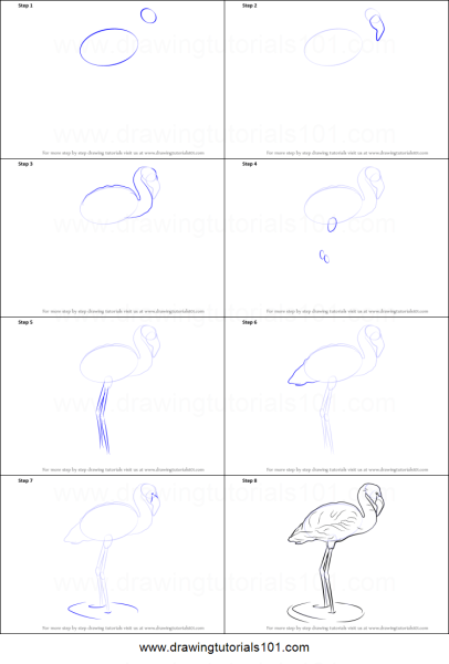 Рисуем Фламинго поэтапно для детей