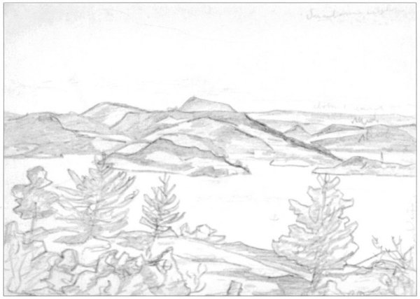 Рисование нерпы