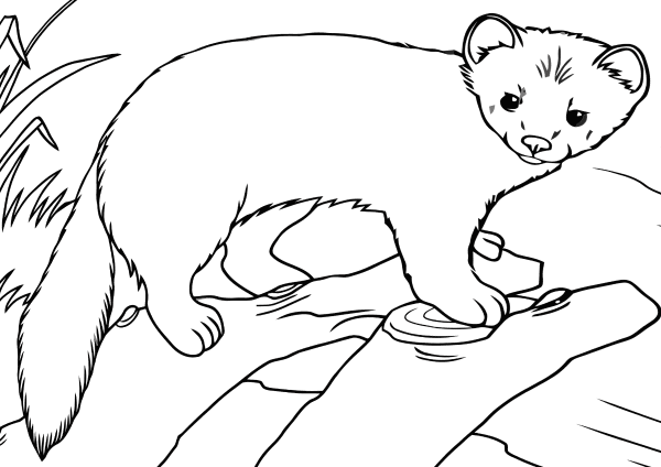 Озеро Байкал рисунок