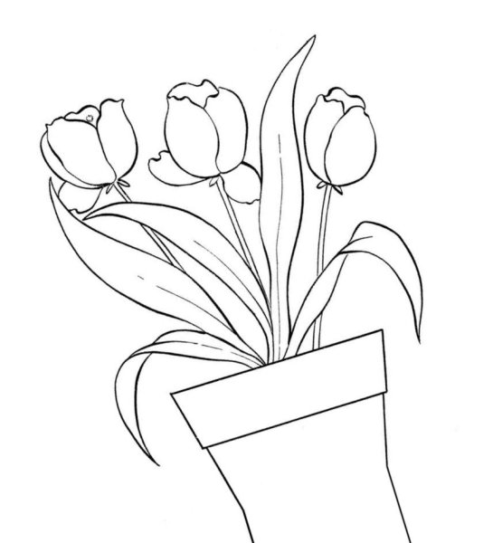 Флористический рисунок