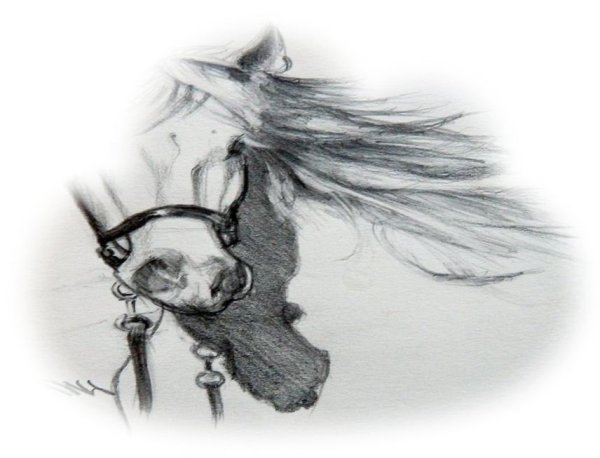 Сон рисунок карандашом на бумаге