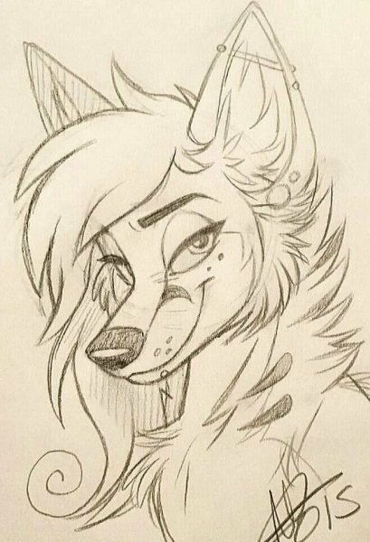 Рисунки фурри для срисовки