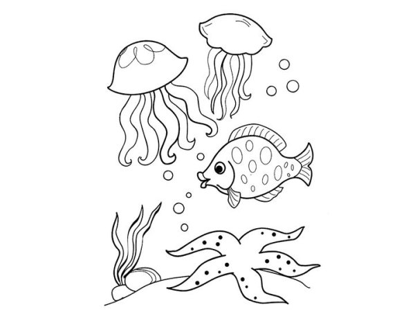 Раскраска морские обитатели