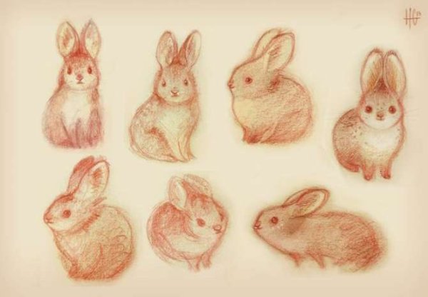 Кролик для рисования