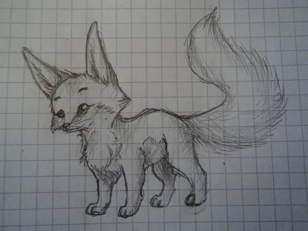 Лиса рисунок карандашом для срисовки легкие