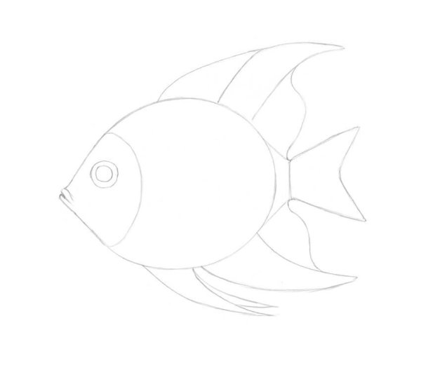 Рыбка рисунок карандашом