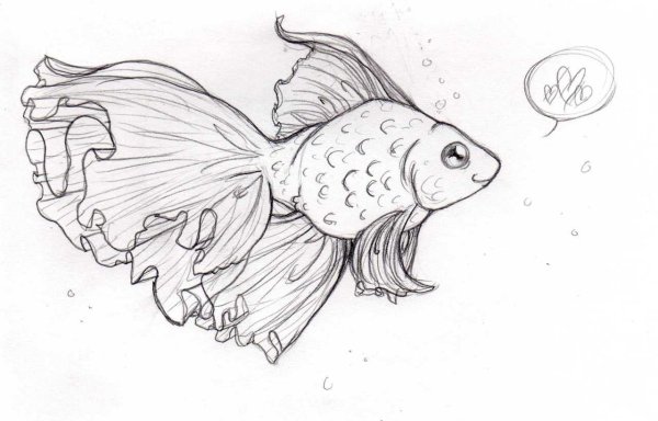 Поэтапное рисование золотой рыбки