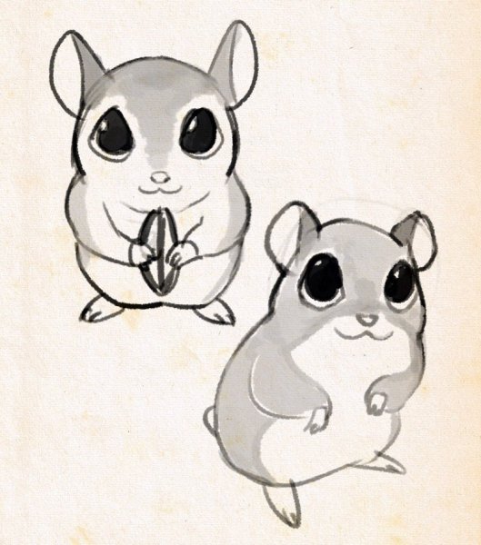 Хомяк для срисовки карандашом