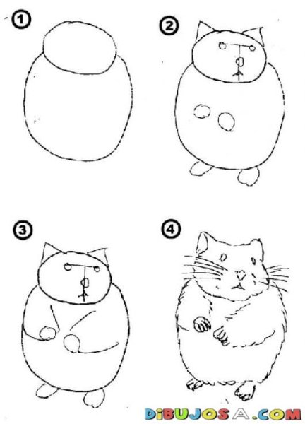 Как нарисовать хомяка пошагово для детей