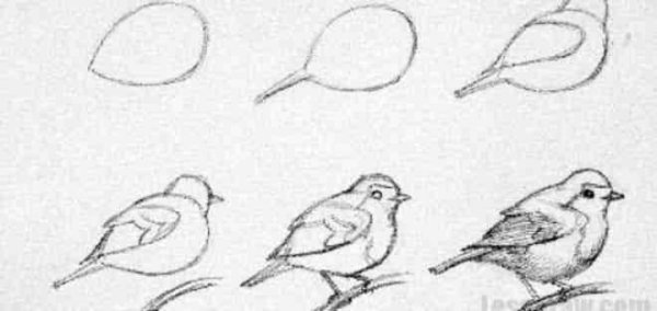 Воробей пошаговое рисование