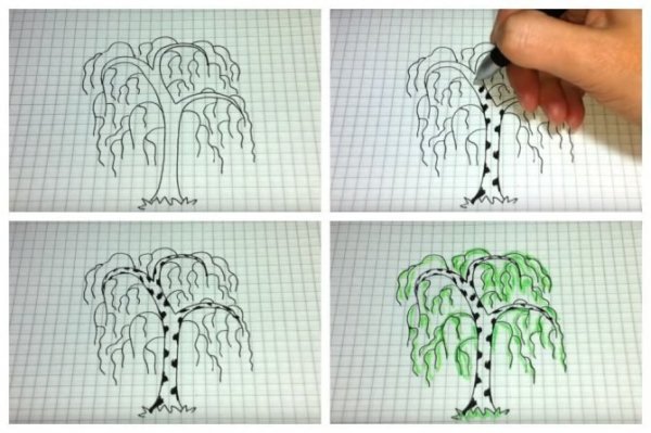 Берёза поэтапное рисование