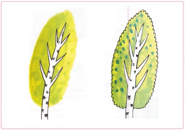 Береза раскраска для детей