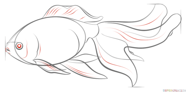 Рисование золотой рыбки пошагово