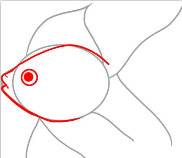Поэтапное рисование золотой рыбки