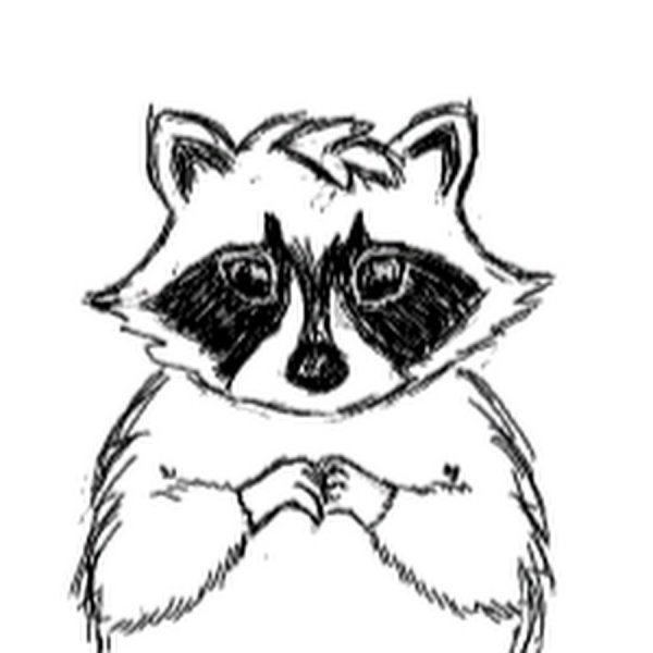 Енотик раскраска милые