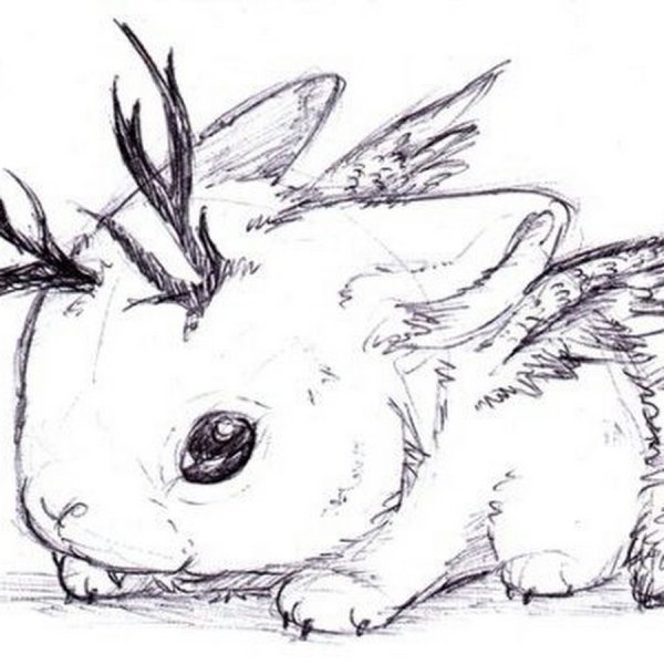 Рисунки для срисовки животные