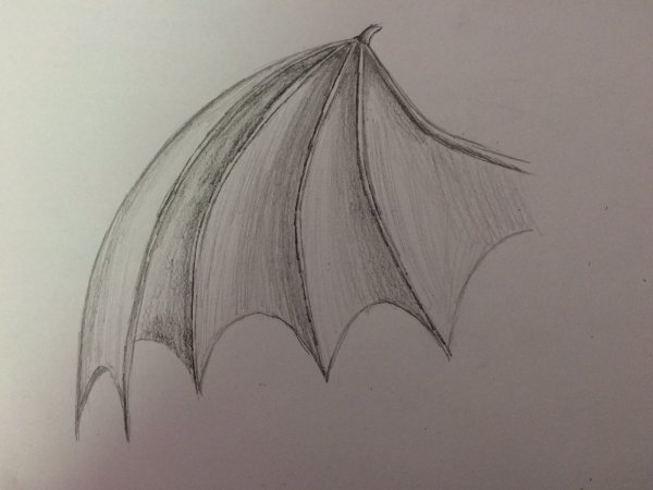 Нарисовать Крылья дракона