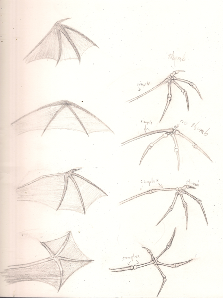 Крылья дракона референс