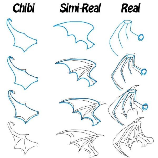 Крылья дракона референс