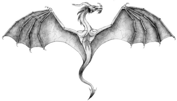 Дракон с крыльями эскиз
