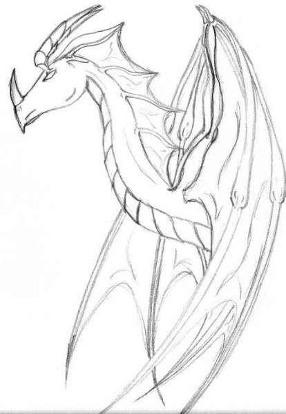 Крылья дракона рисунок