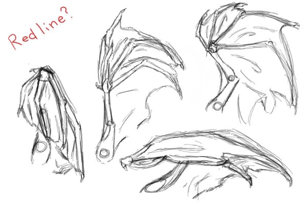 Крылья дракона референс