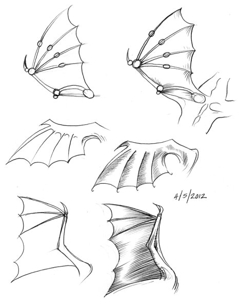 Крылья дракона сбоку вектор