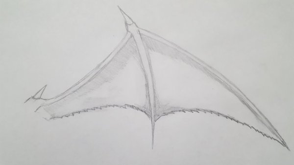 Крылья дракона карандашом лёгкие