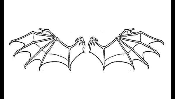 Крылья дракона