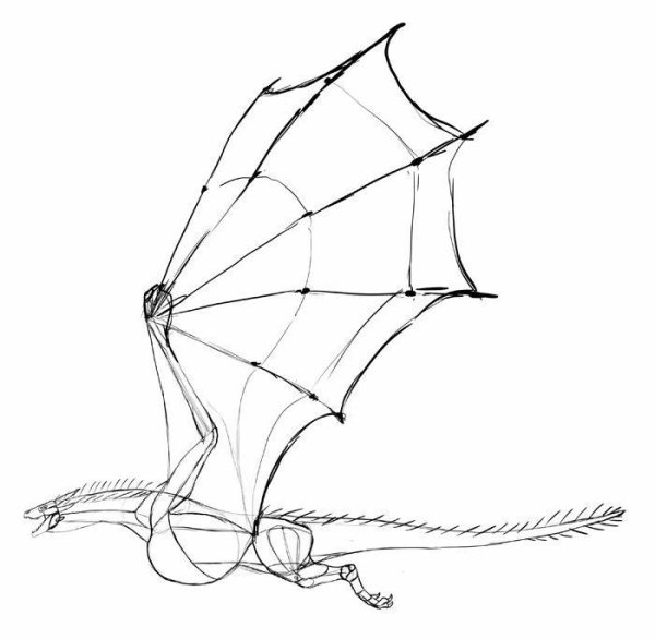 Крылья дракона