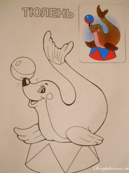 Афиша рисунок карандашом