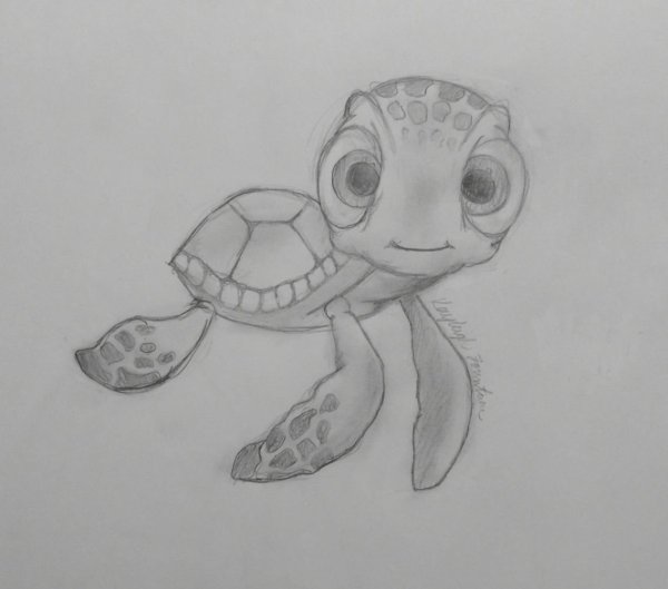 Рисунки черепахи для срисовки