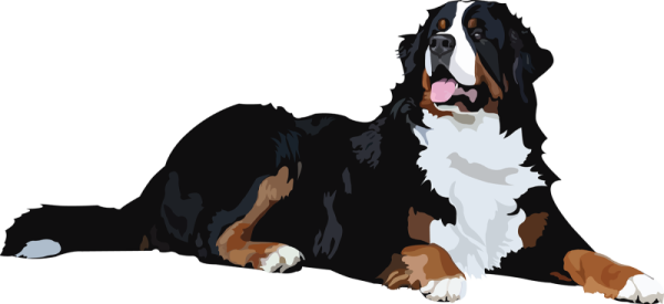 Бернский зенненхунд вектор