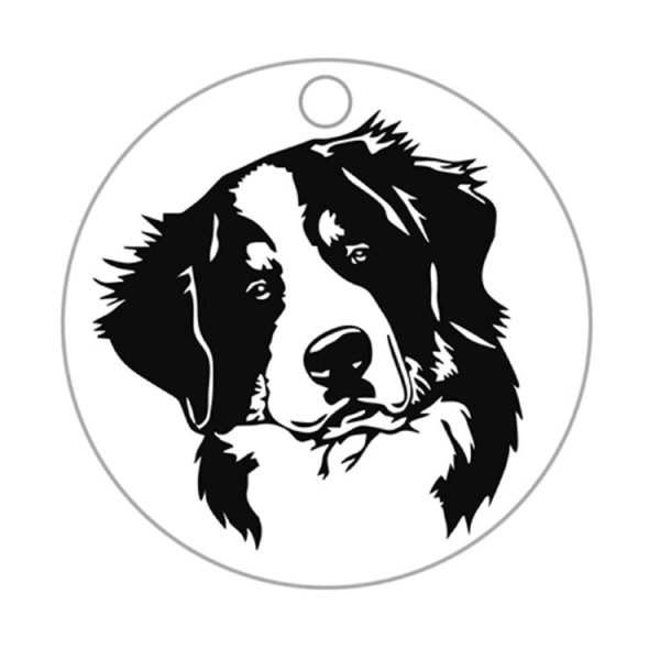 Бернский зенненхунд