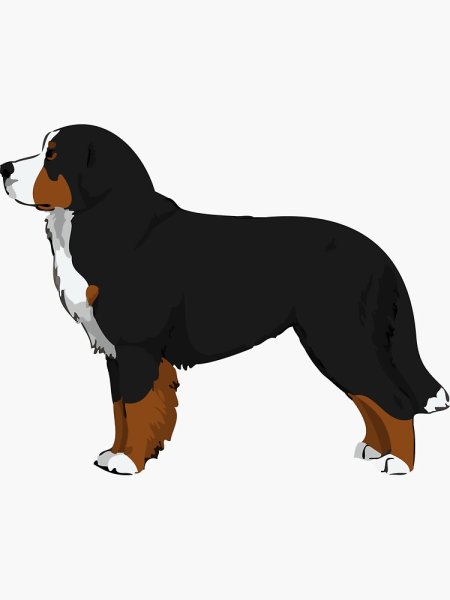 Силуэт бернского зенненхунда