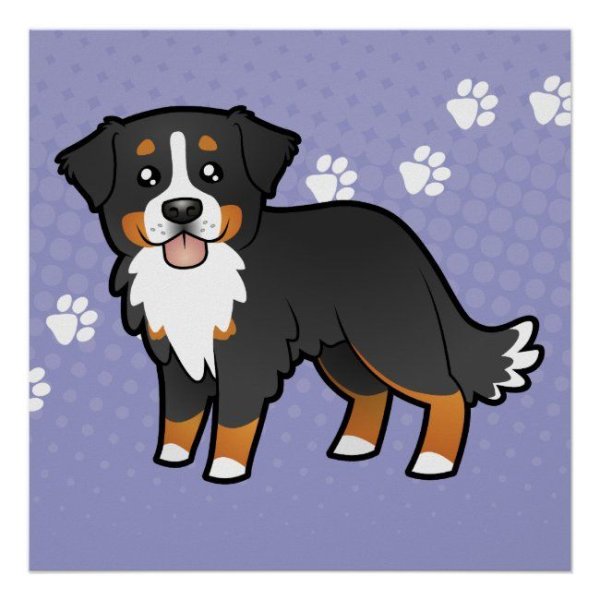 Энтлебухер зенненхунд рисунок