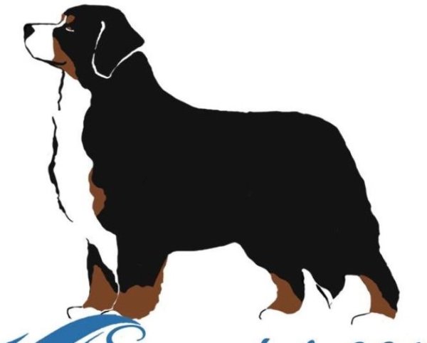 Бернский зенненхунд вектор