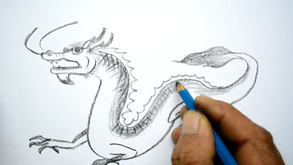 Поэтапный рисунок китайского дракона