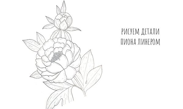 Цветы эскиз