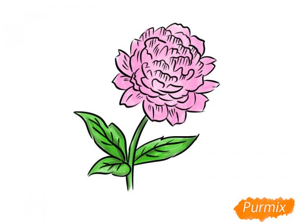 Пионы стилизация простые