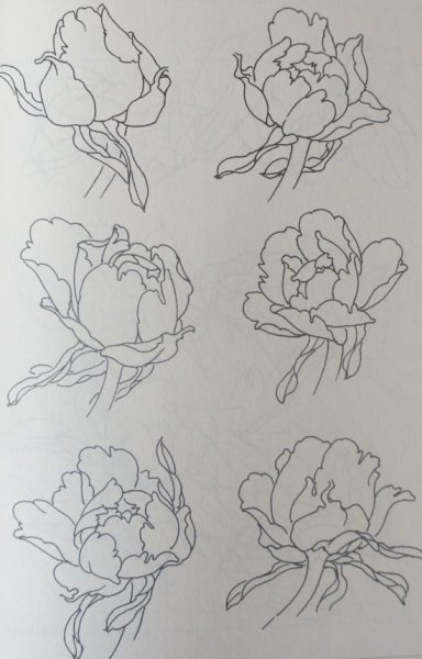 Раскраски пионы маленькие