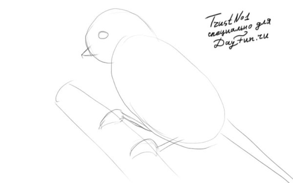 Синица рисунок