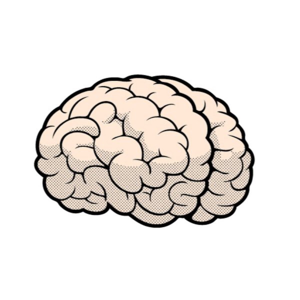 Рисунок мозга для срисовки