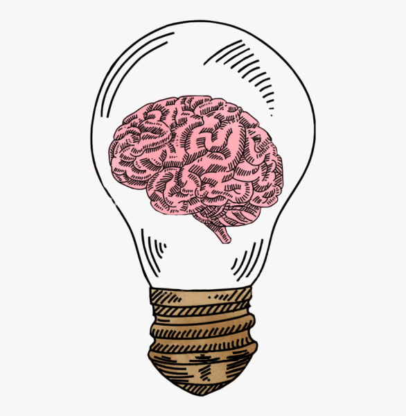 Мозг трафарет