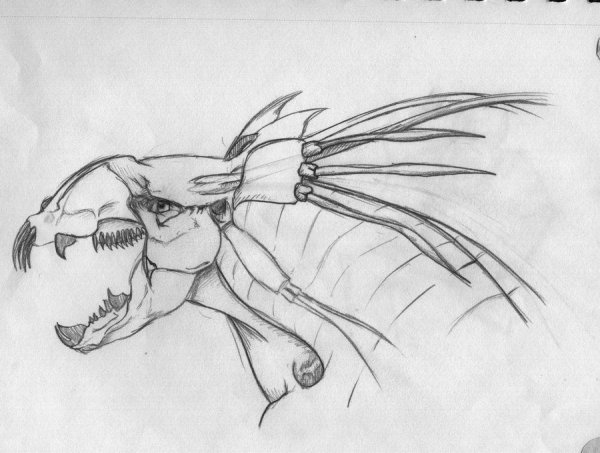 Танатор анатомия