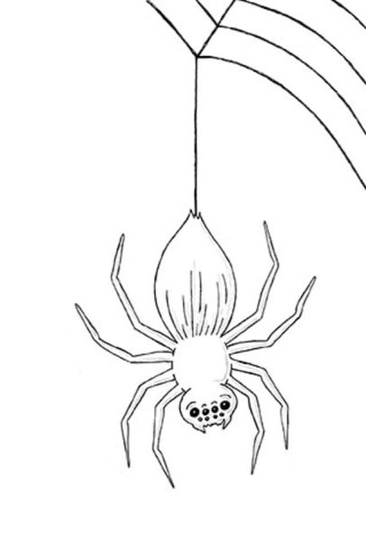 Паук карандашом