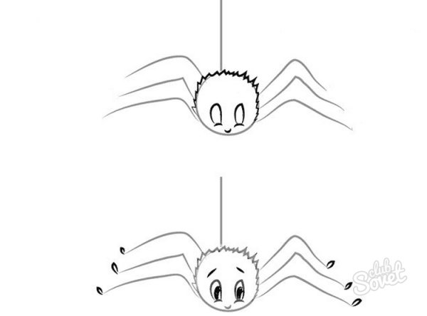 Паук для рисования