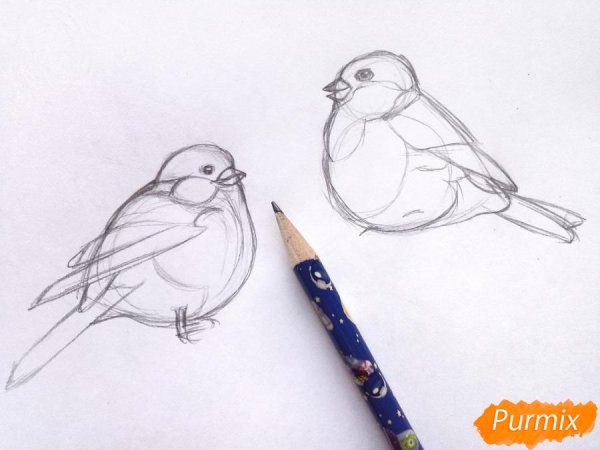 Снегирь набросок