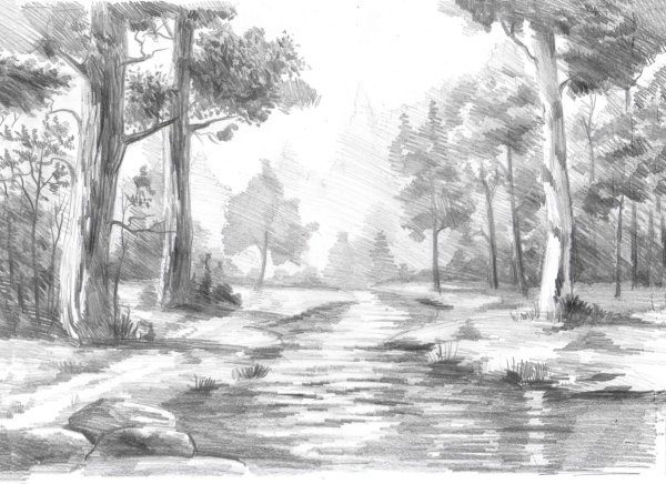 Зимний лес рисование карандашами