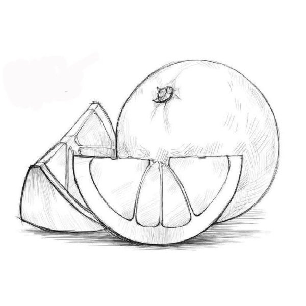 Лимон рисунок